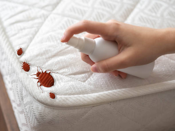 Insect Control in West Columbia, TX
