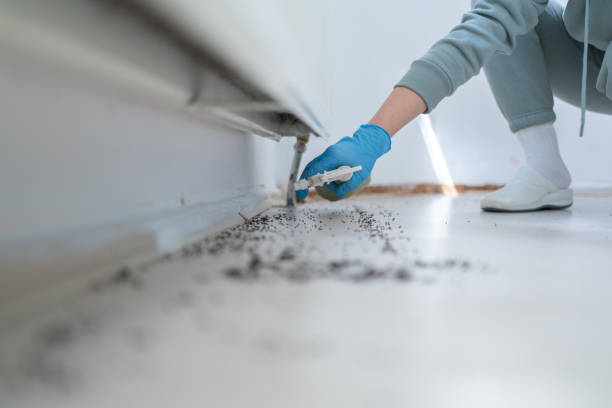 Reliable West Columbia, TX Pest Control Solutions